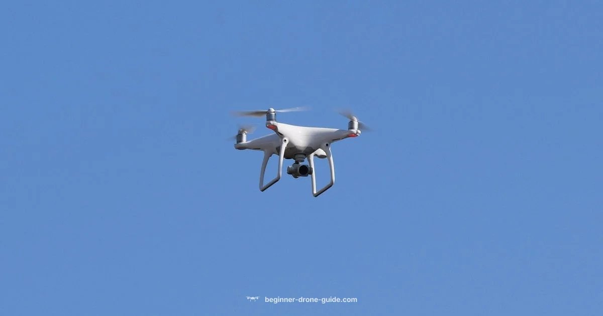 2025 Beginner Drone Guide 2025 Beginner Drone Guide