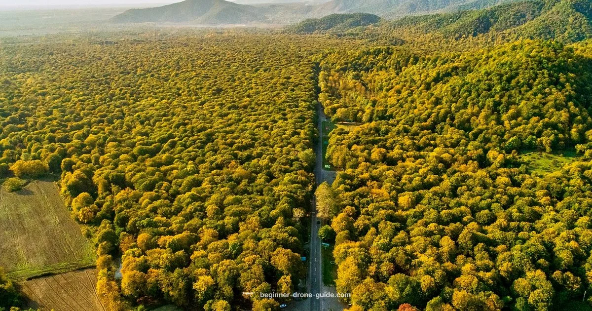 Deer Recovery Locales Deer Recovery Locales - Beginner Drone Guide