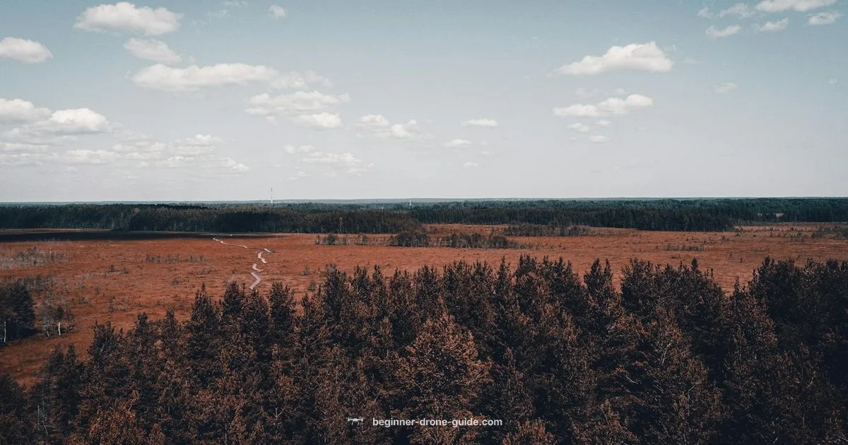 Drone and UAV Guide - Beginner Drone Guide