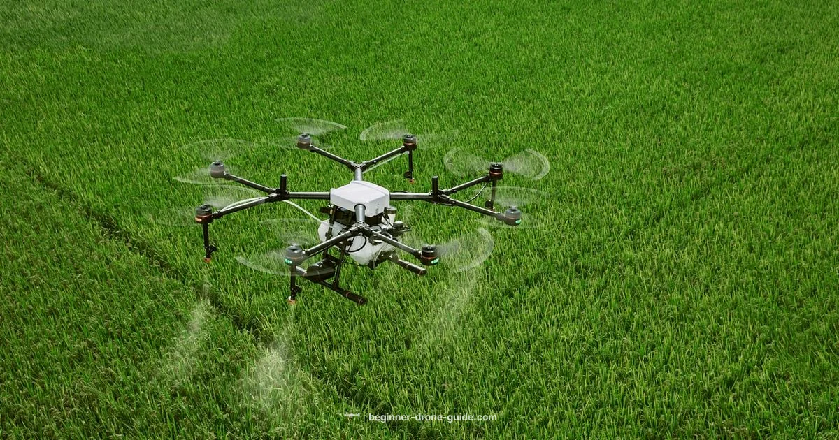 DJI Drone Guide DJI Drone Guide - Beginner Drone Guide