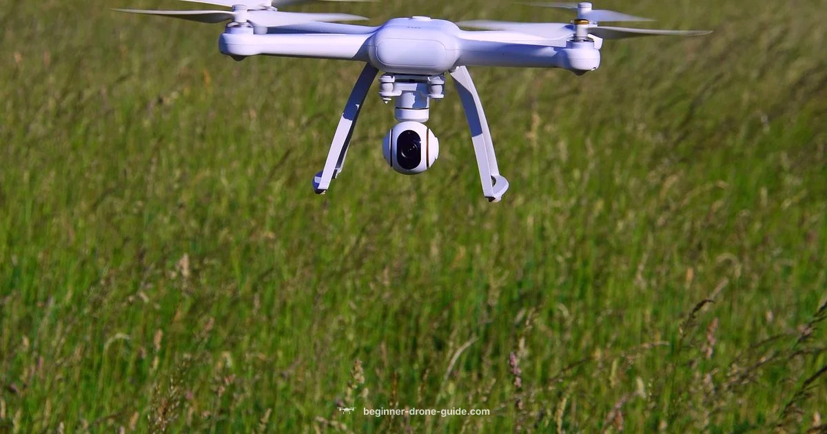 Windy Drone Flight - Beginner Drone Guide